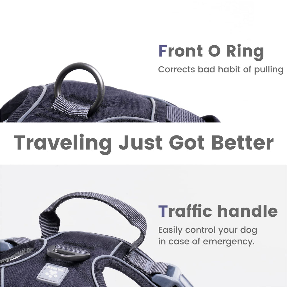 Pawaii digital ID tag on harness enables quick contact if lost