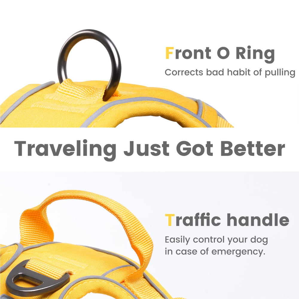Pawaii Digital ID Tag on harness helps reunite pets quickly.