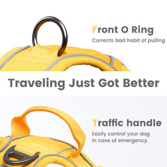 Pawaii Digital ID Tag on harness helps reunite pets quickly.