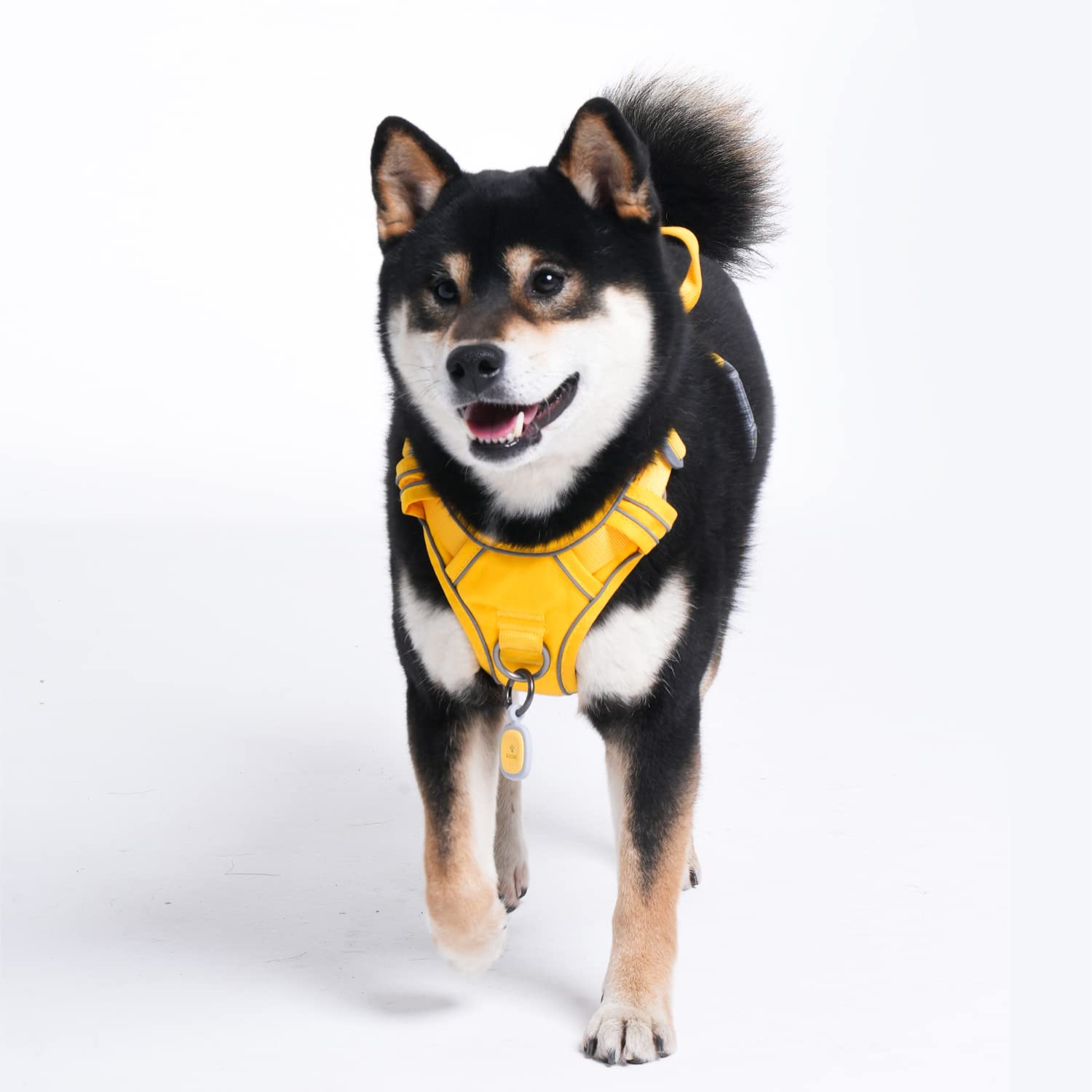 Pawaii harness adjustable straps for a better size match