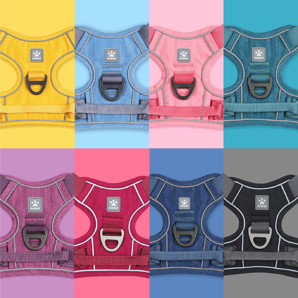 Pawaii harness ideal for daily walks and training routines