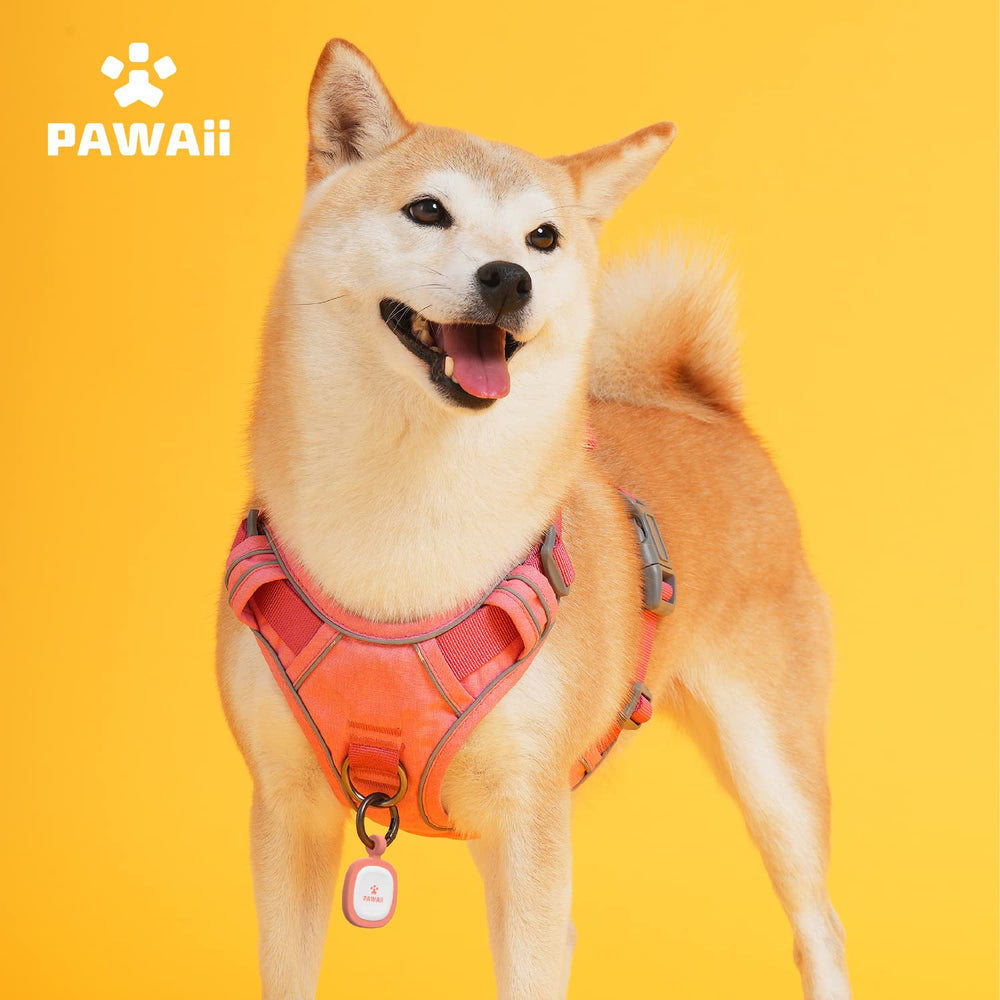 Pawaii size guide helps pick the perfect fit