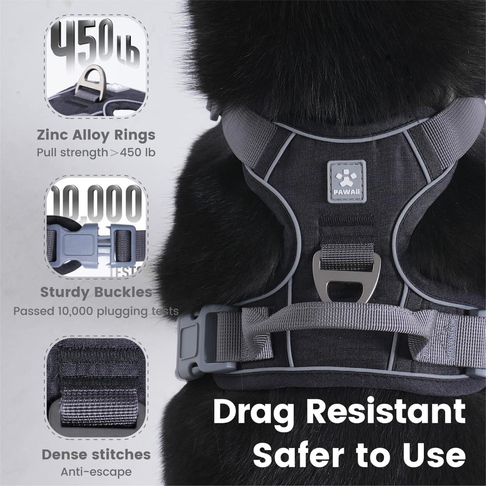 Pawaii harness shows durable webbing and sturdy buckles for daily wear