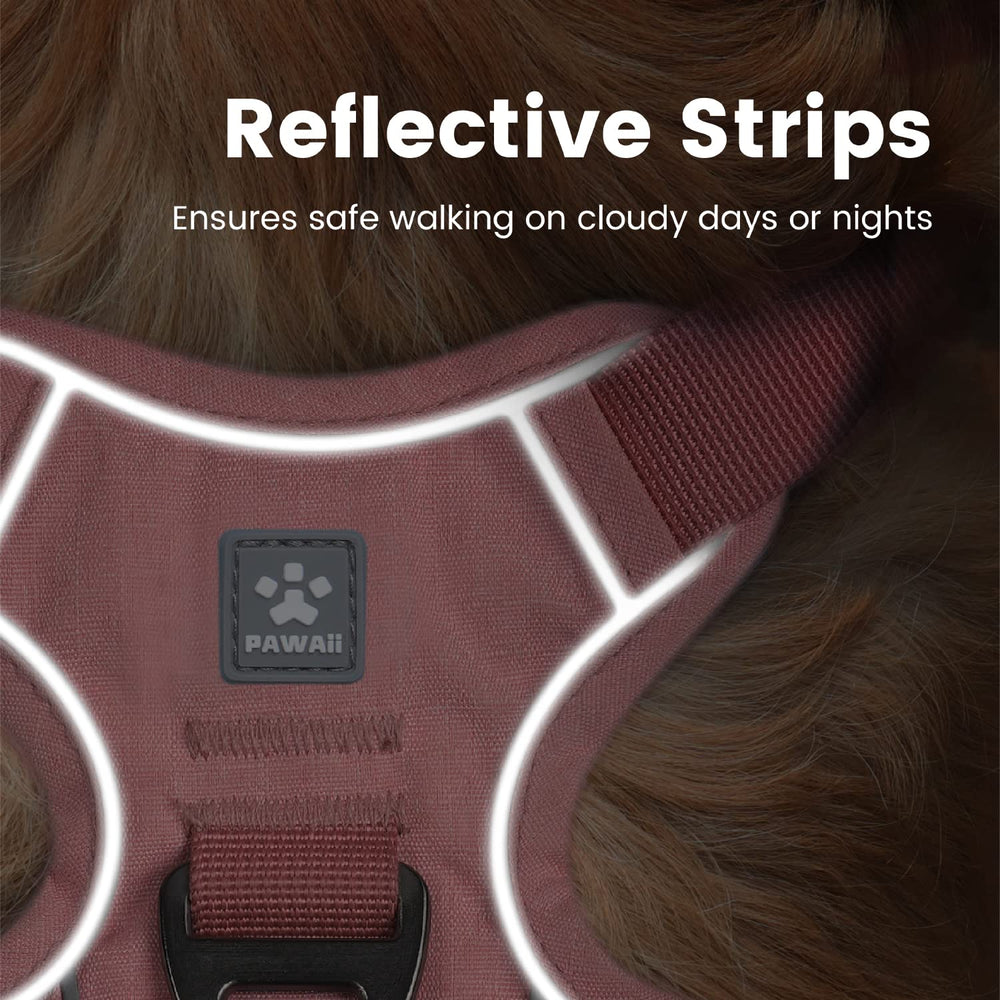 Pawaii easy-control handle shown for training support