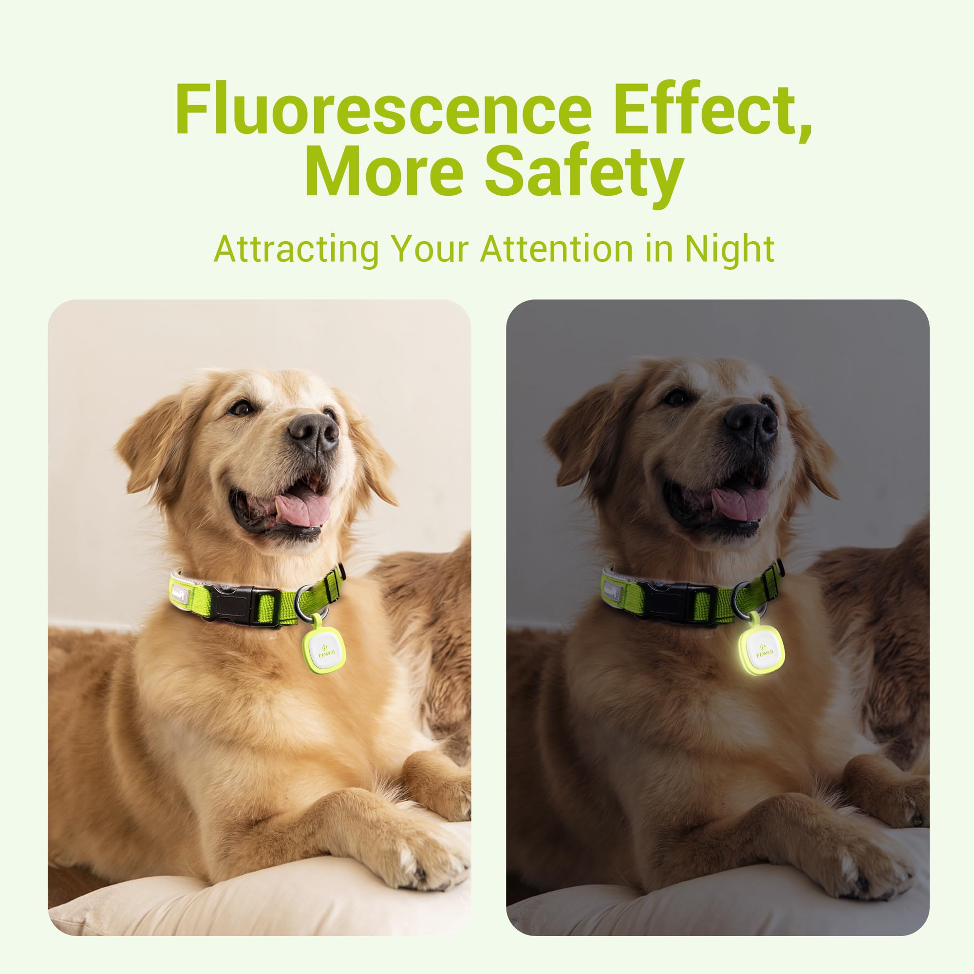 Pawaii fluorescent QR tag side view in green, comfortable silicone on collar.