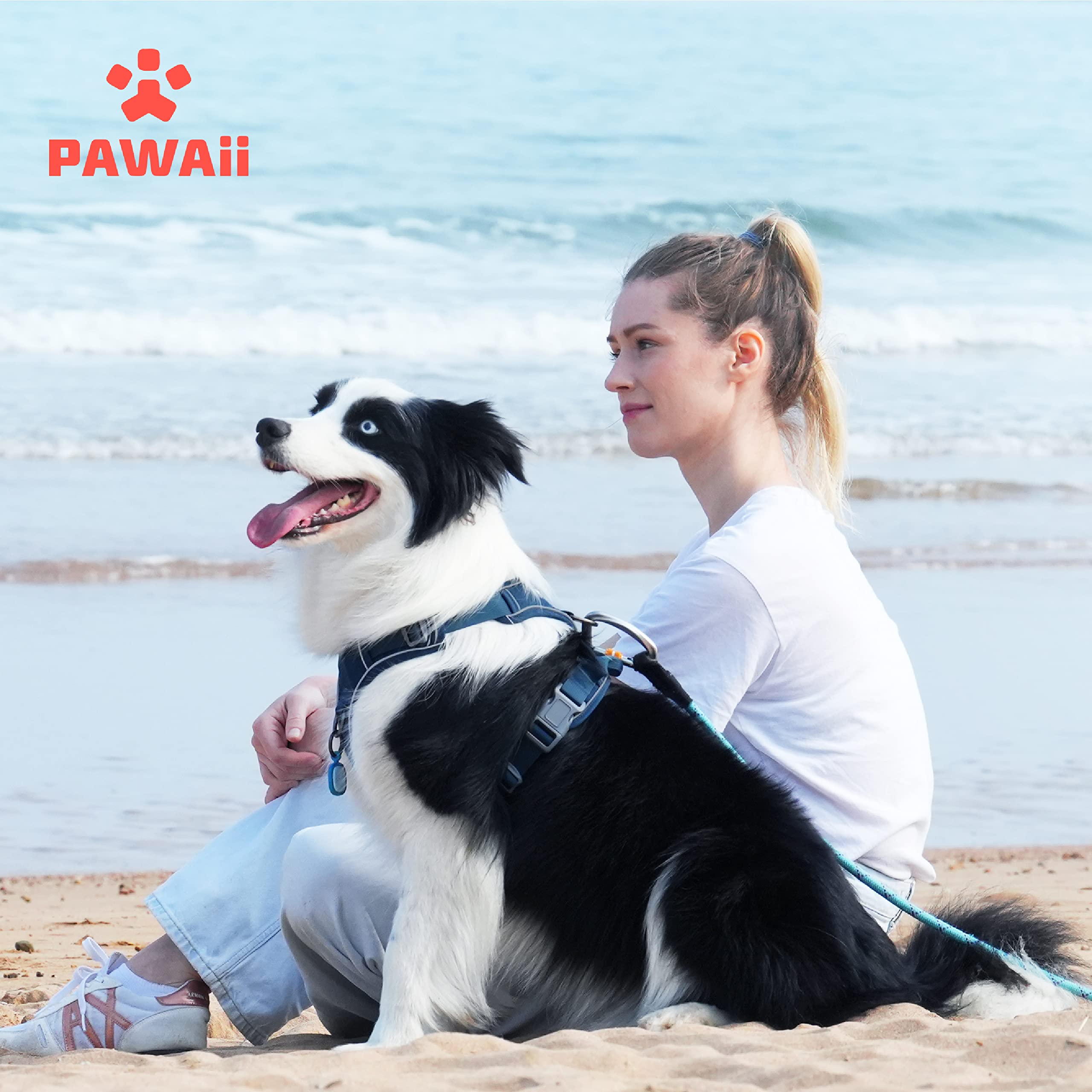 Pawaii large dogs harness for daily walks and training sessions