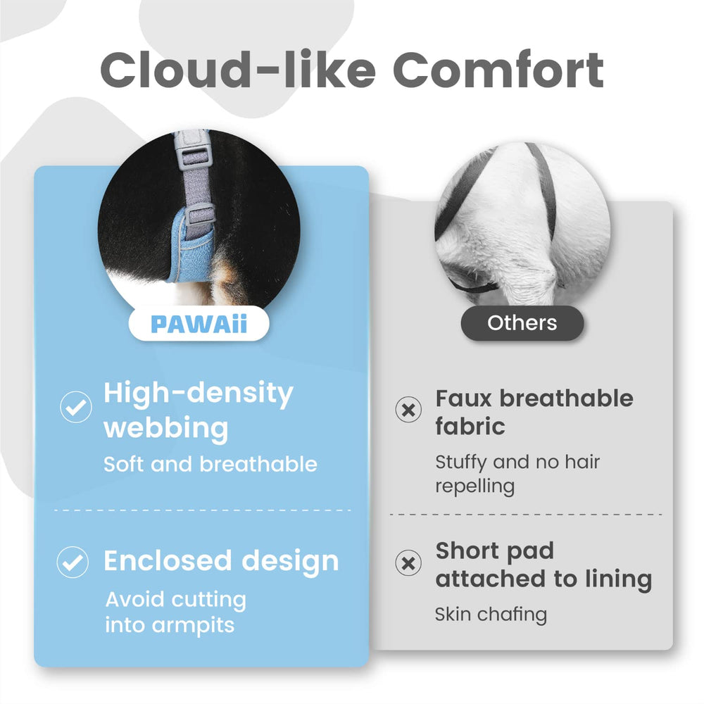 Pawaii Harness features durable webbing and twin buckles for daily use.