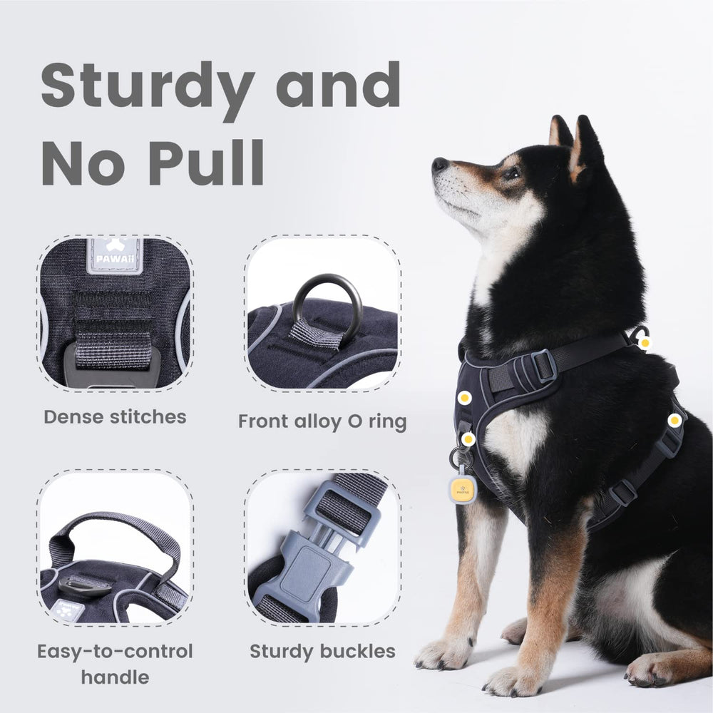 Pawaii harness with reflective strips boosts night visibility during walks