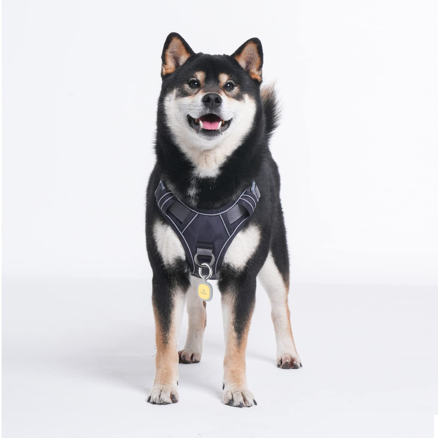 Pawaii No Pull Harness showing adjustable fit strap for growing dogs.