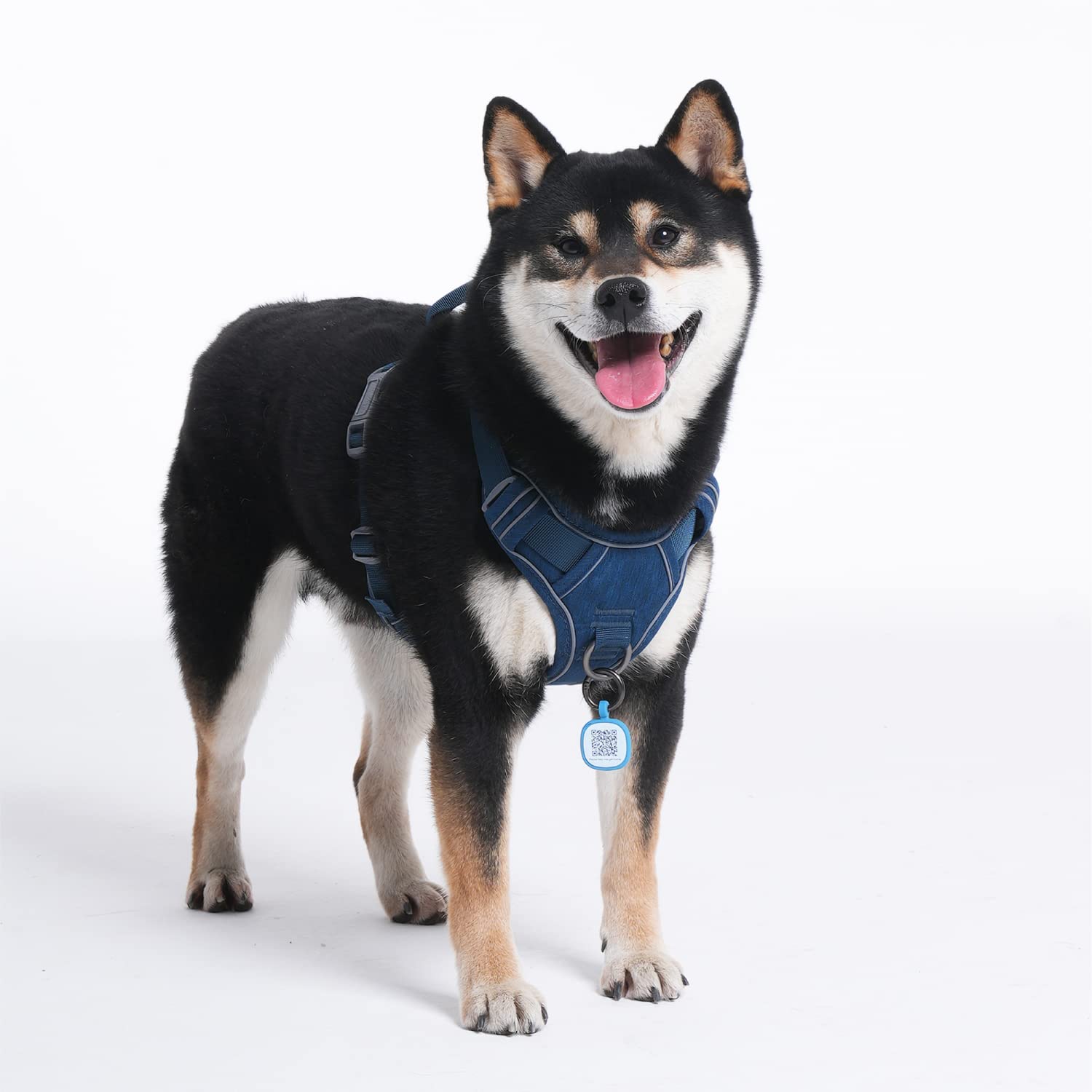 Pawaii no-pull harness adjustable-fit buckles for a secure fit.