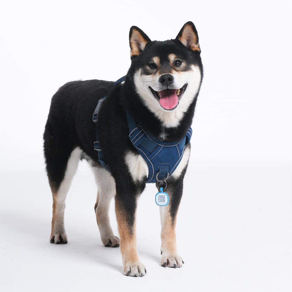 Pawaii no-pull harness adjustable-fit buckles for a secure fit.