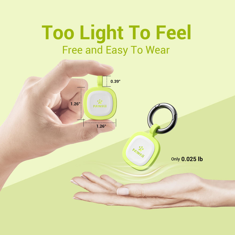 Pawaii pet ID tag with modifiable info in green, easy updates.