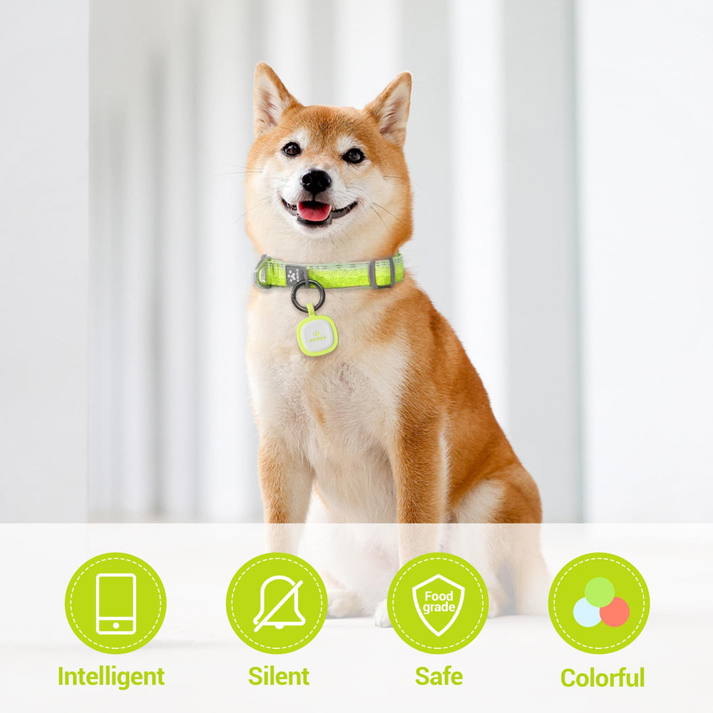 Pawaii QR code pet ID tag close-up in green, safe and scannable for reunions.