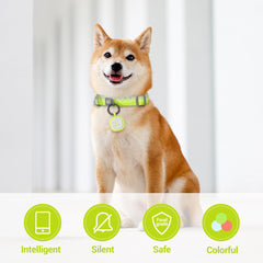 Pawaii QR code pet ID tag close-up in green, safe and scannable for reunions.