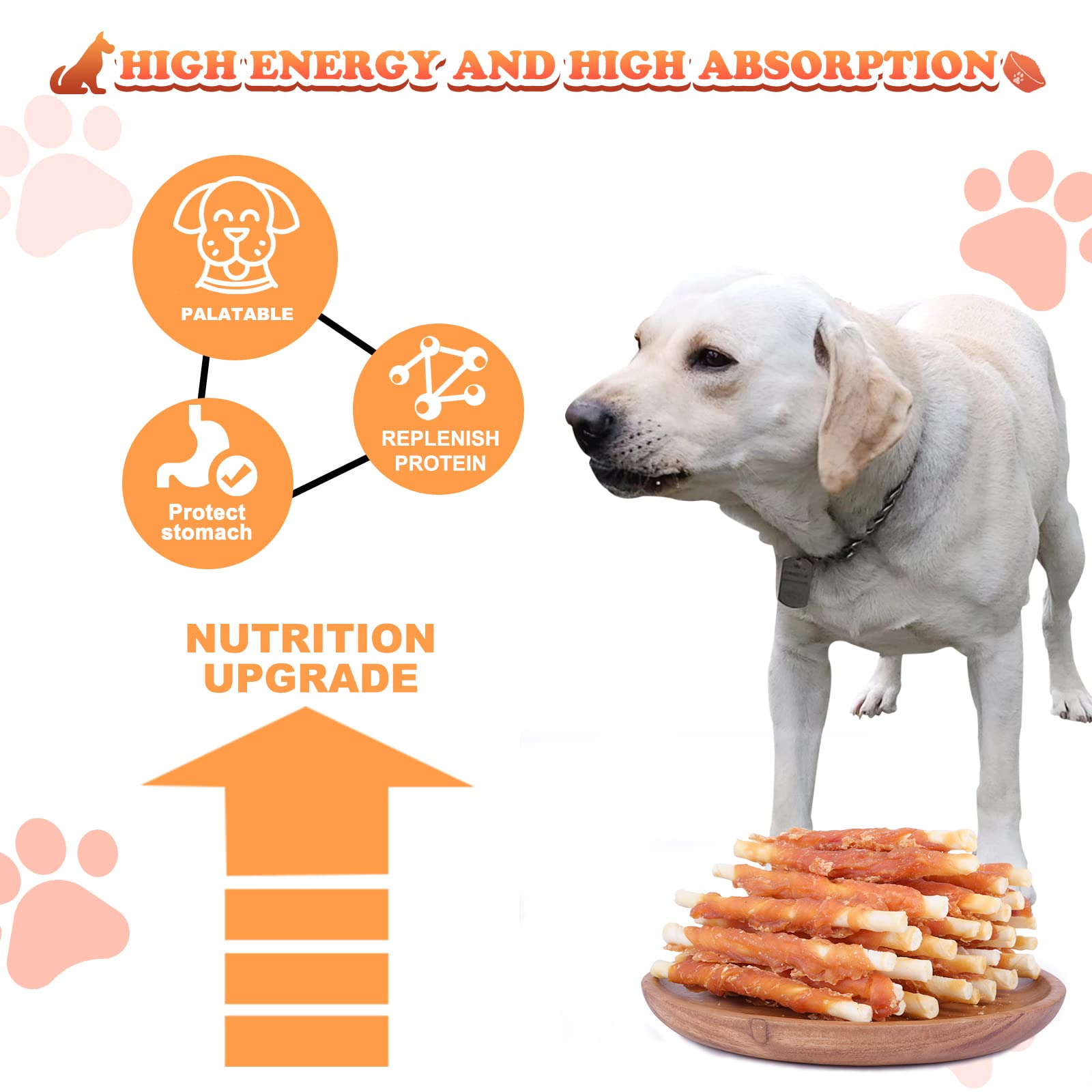 Pawant 1lb-packaging display illustrating value for puppy households.