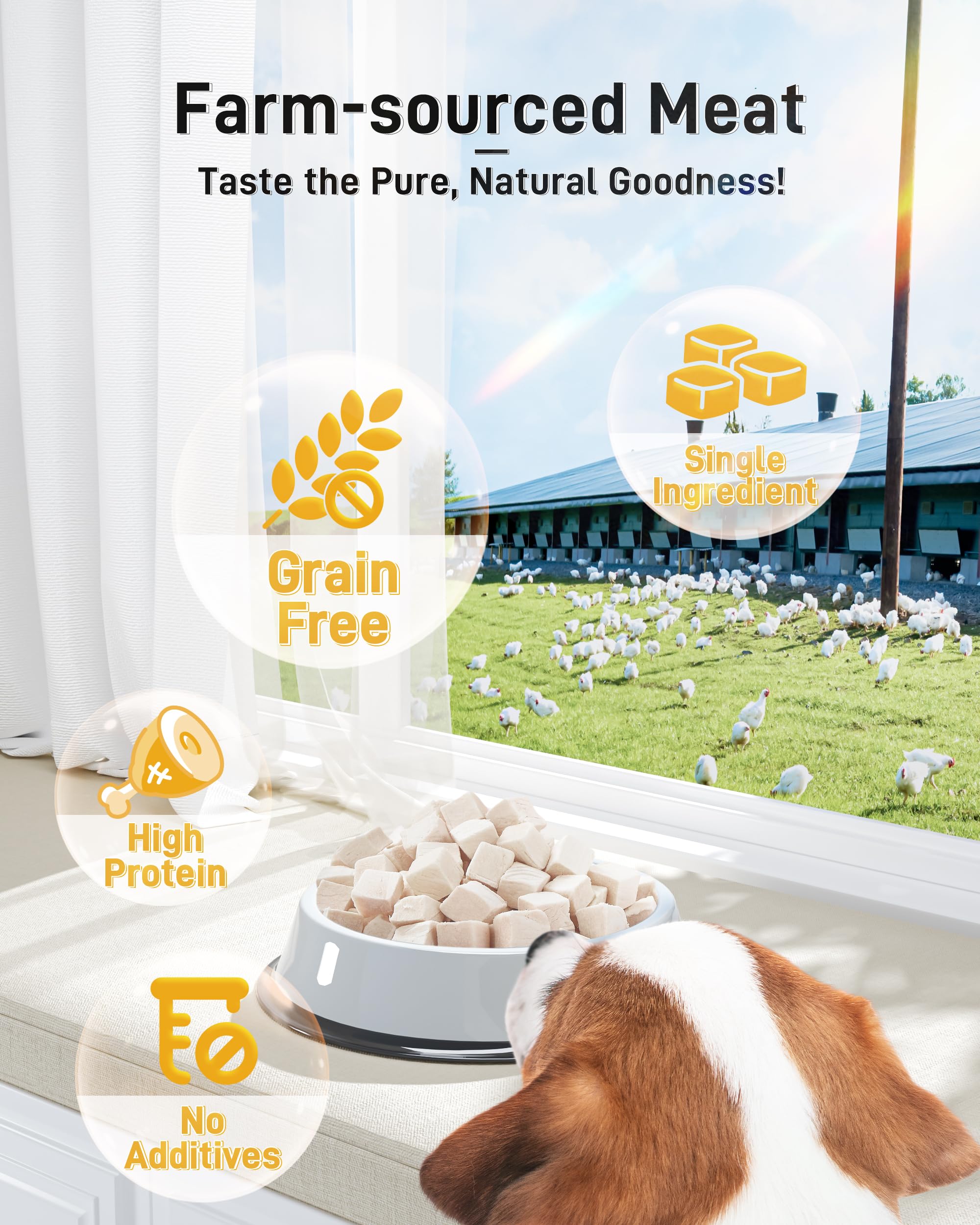 Pawaura training reward image shows easy-to-use treats for training sessions.