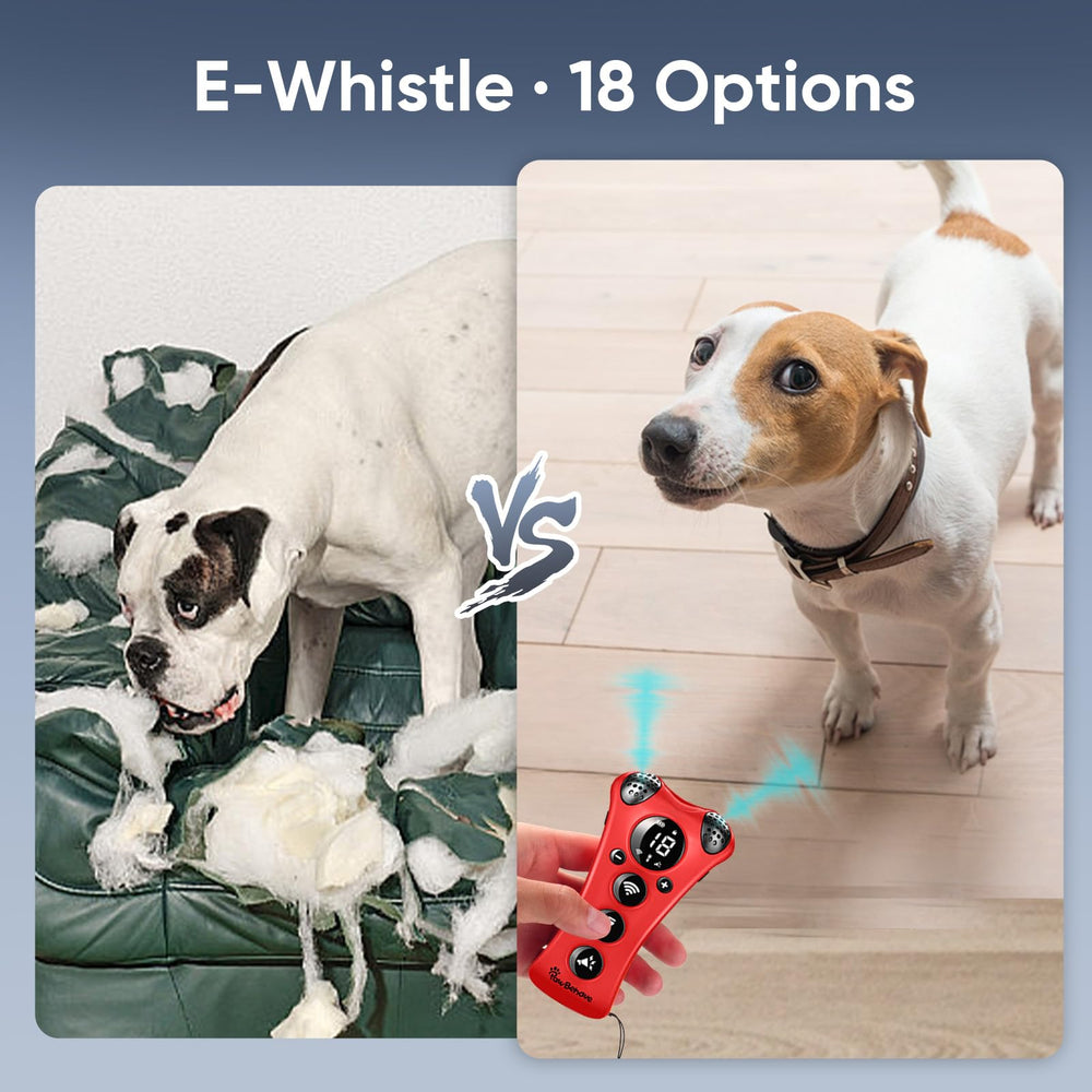 PawBehave flashlight mode demonstrates the 1000-lumen light for nighttime training
