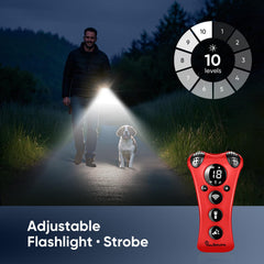 PawBehave no-shock mode highlights humane, collar-free barking control option