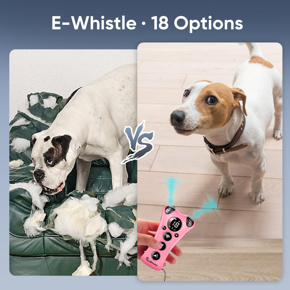PawBehave night-use with flashlight supports visual cues in low light