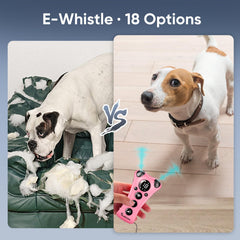 PawBehave night-use with flashlight supports visual cues in low light