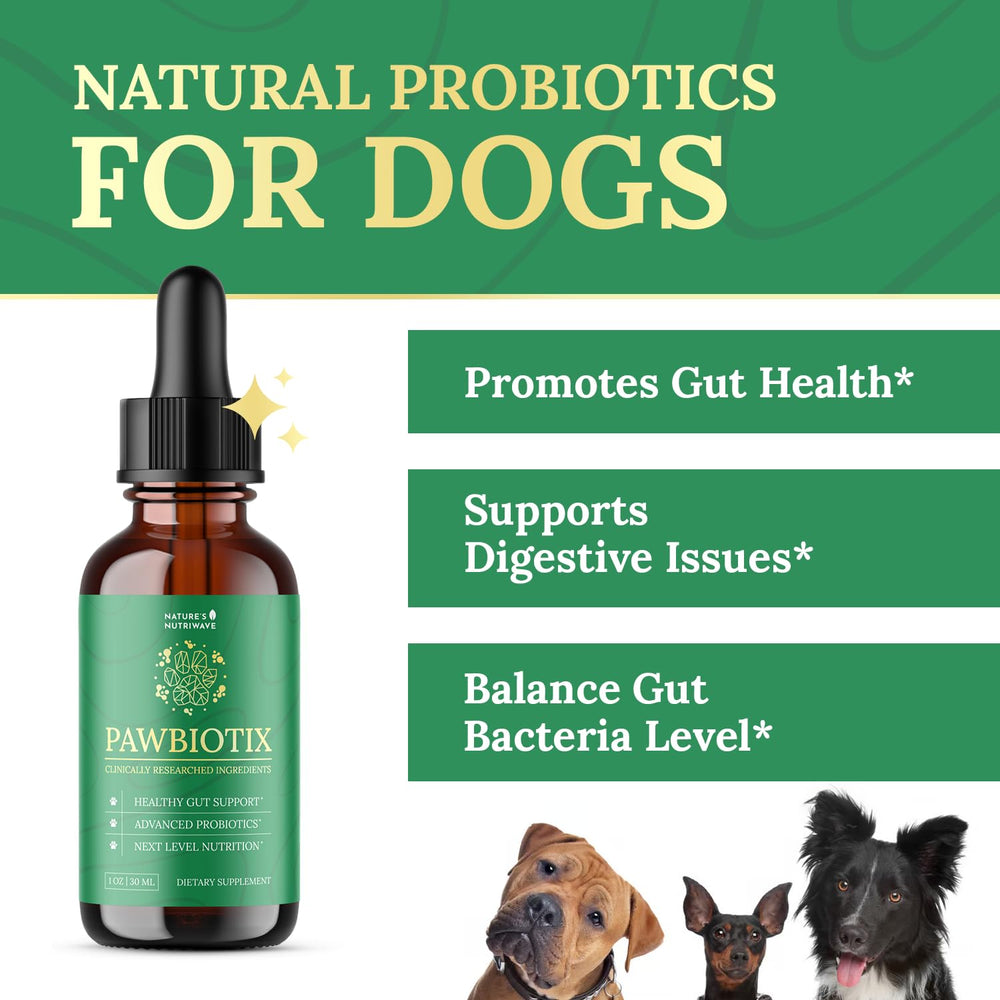Pawbiotix liquid dropper demonstrates easy-dose use for daily digestion support.