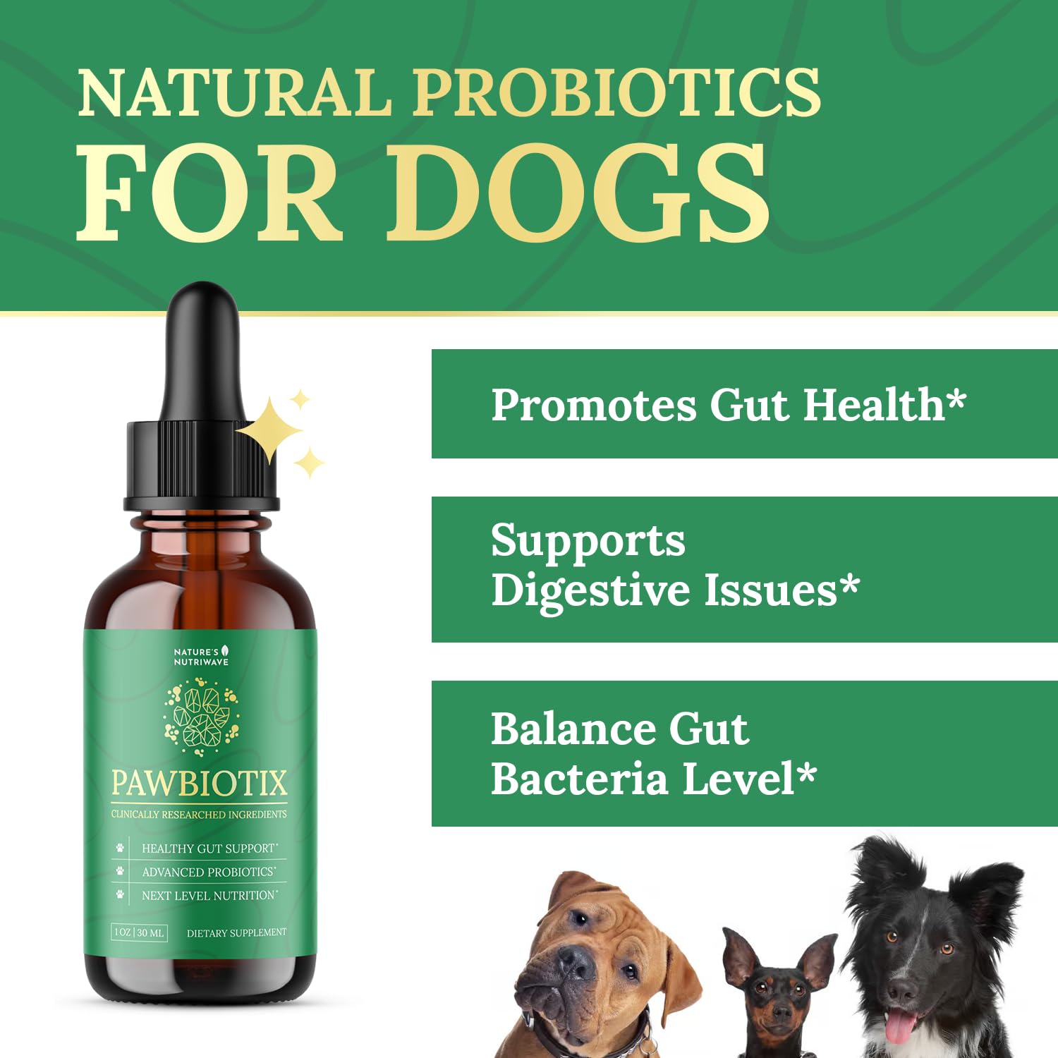Pawbiotix liquid probiotic pour – easy daily dosing for dogs.
