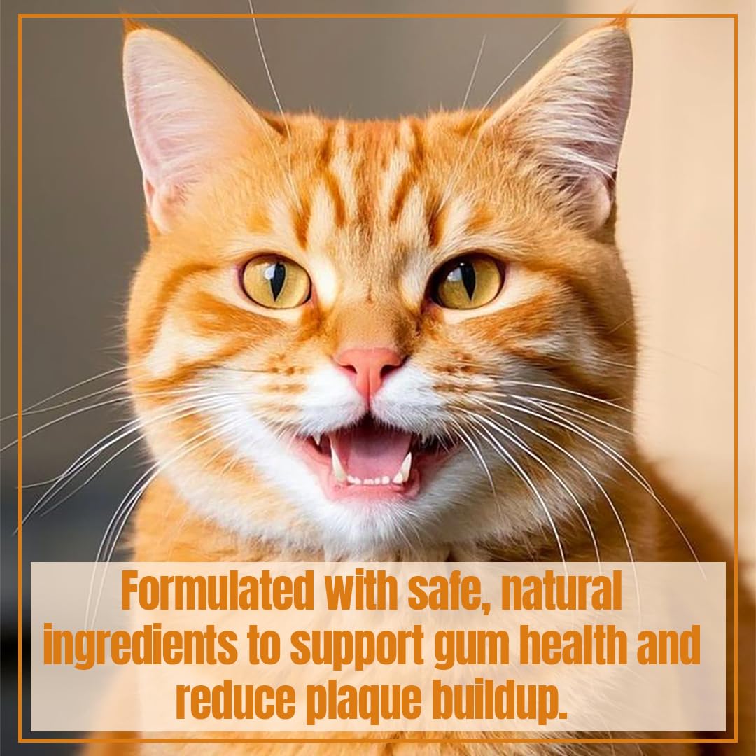 PawBright Dental Plus dog drinking water shows effortless oral freshness.
