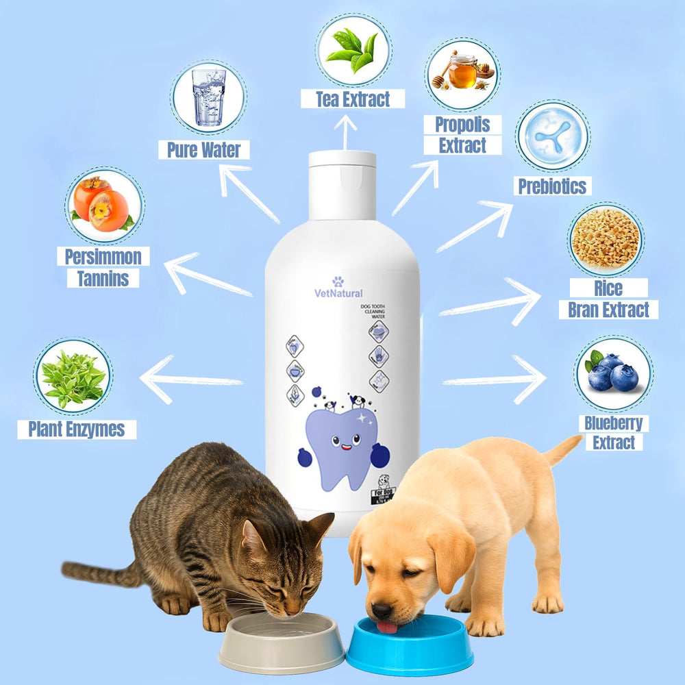 PawBright Dental Plus VetNatural label signals trusted oral care formula.