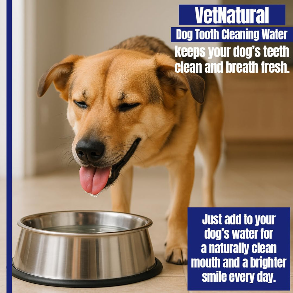 PawBright Dental Plus packaging displayed for at-home dental care.