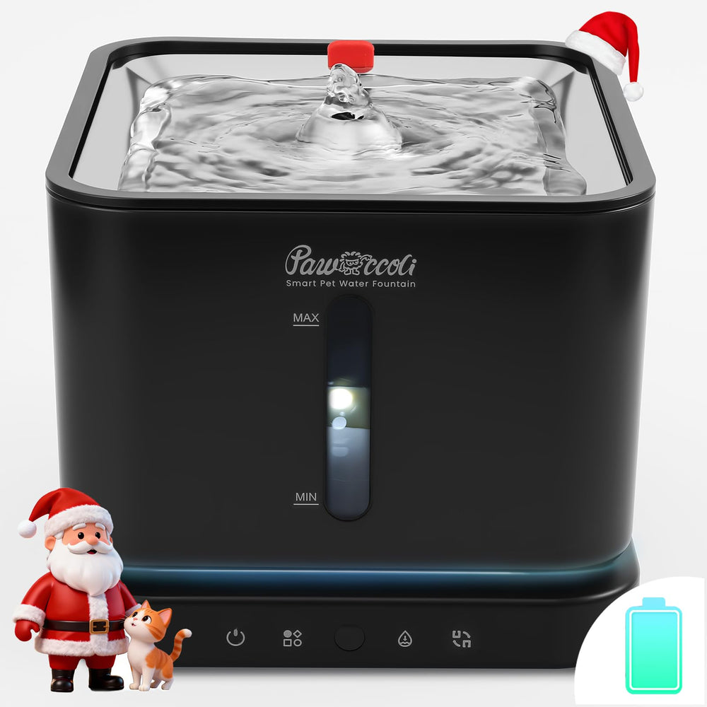 Pawccoli cordless cat water fountain with stainless-steel tray enables easy, hygienic hydration for indoor pets.