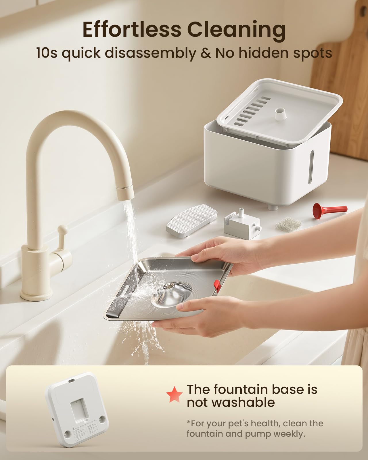 Pawccoli stainless-steel tray close-up emphasizes durable, easy-to-clean surface.