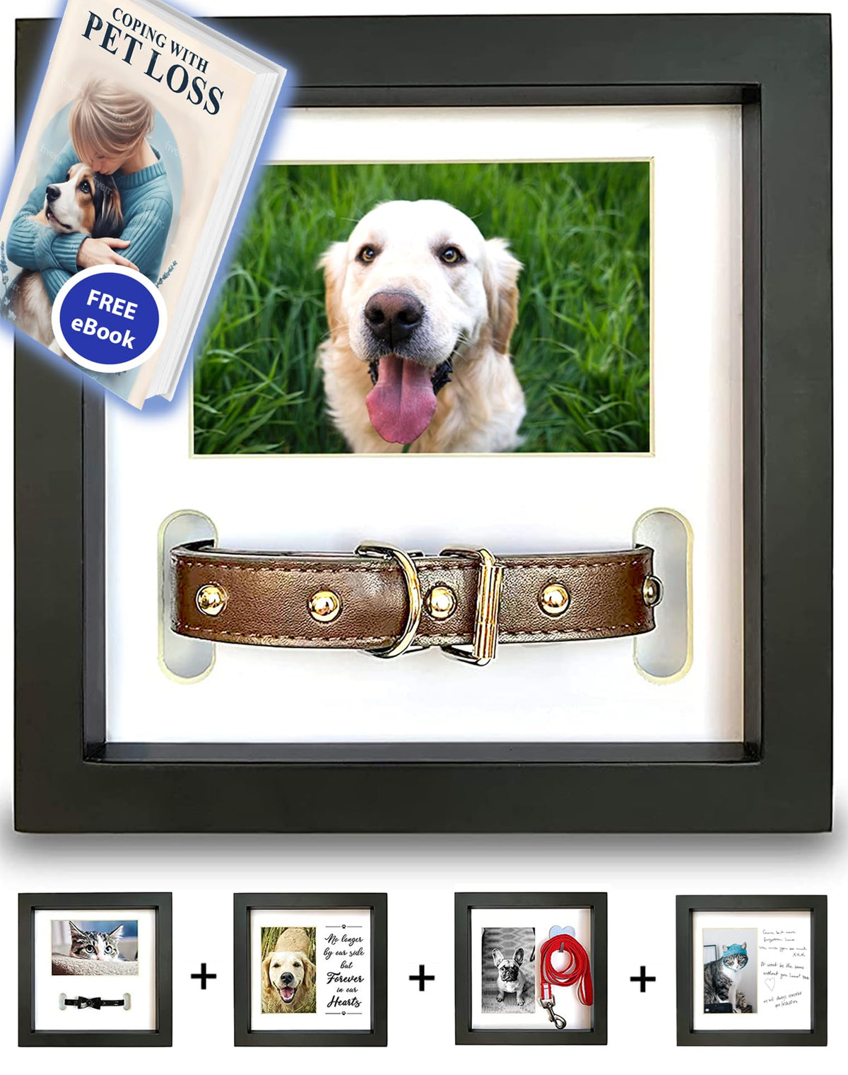 PAWCEPTIVE dog memorial frame showing five display options for lasting memories