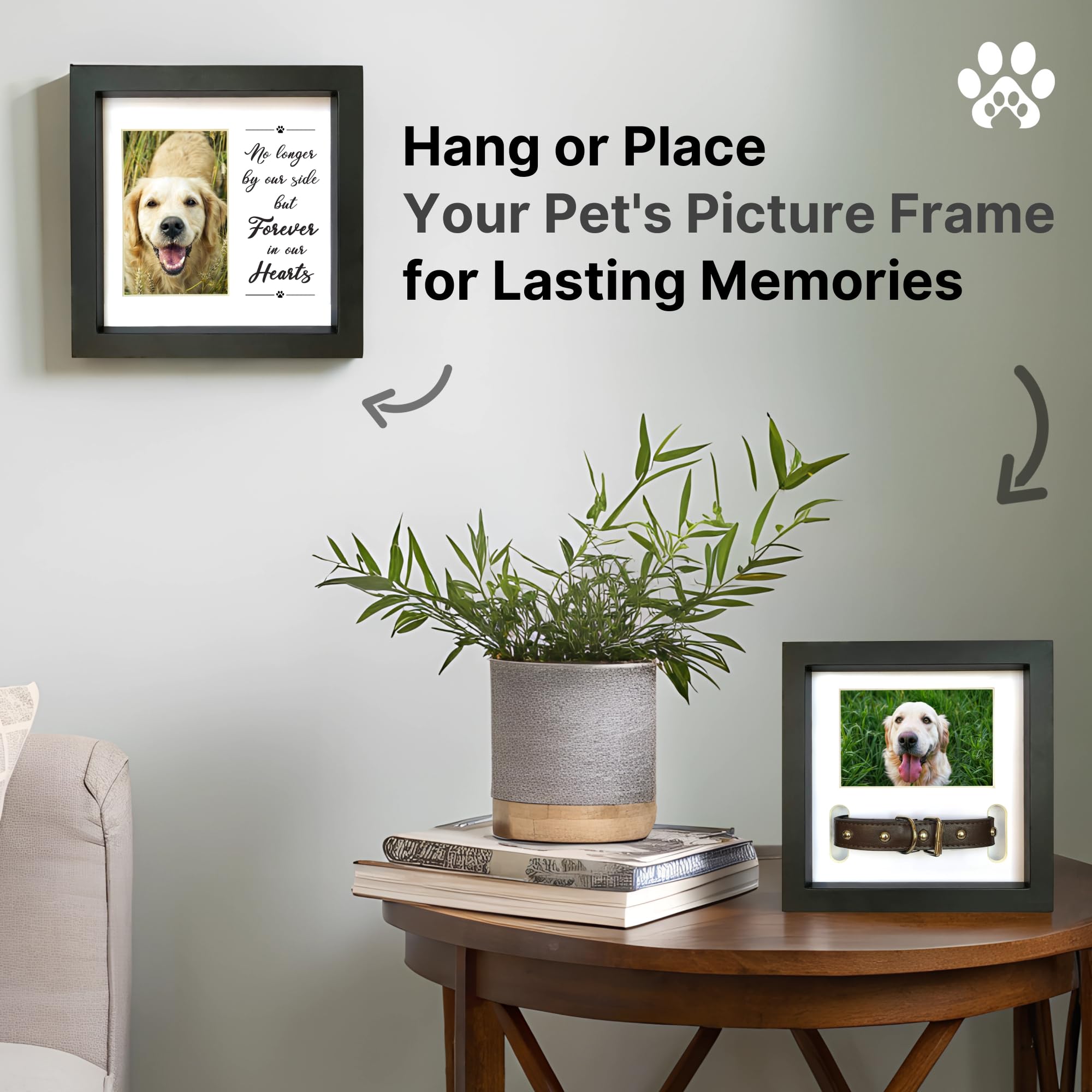 PAWCEPTIVE gift-ready packaging enhances a pet loss sympathy gift