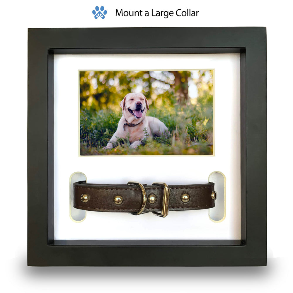 PAWCEPTIVE handwritten note display beside photo for a personal touch