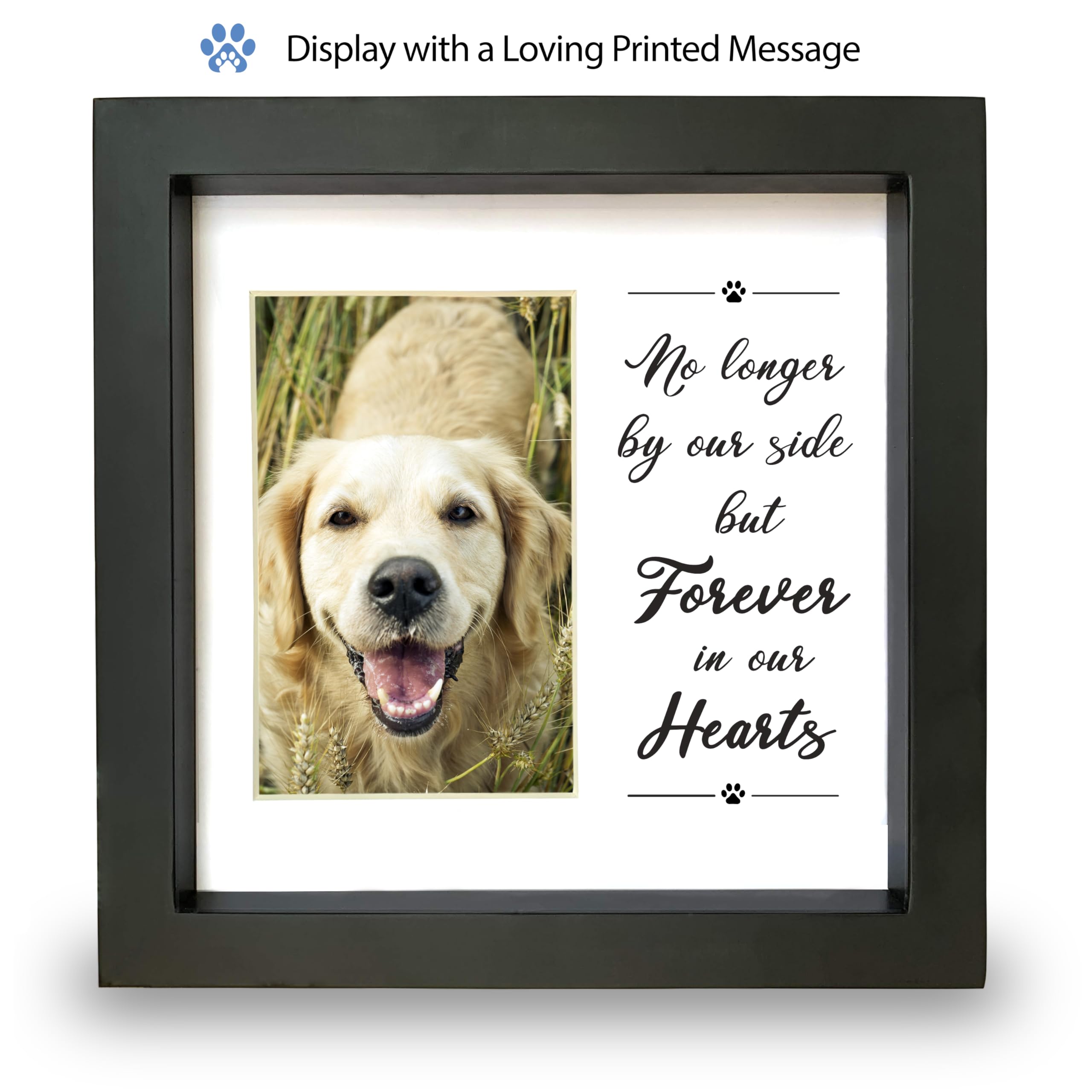 PAWCEPTIVE wall-mount option saves space while keeping memories visible