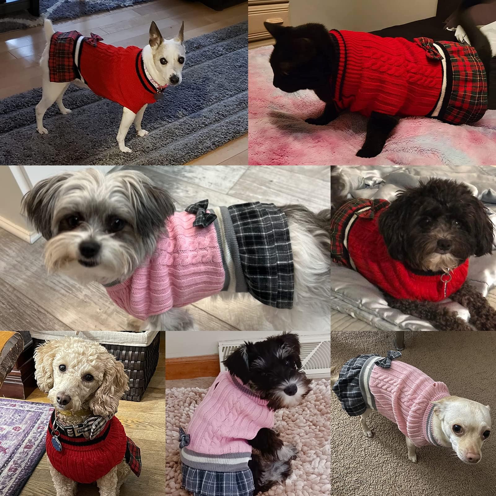 PAWCHIE dog wearing dress during stroll demonstrates cozy winter wear