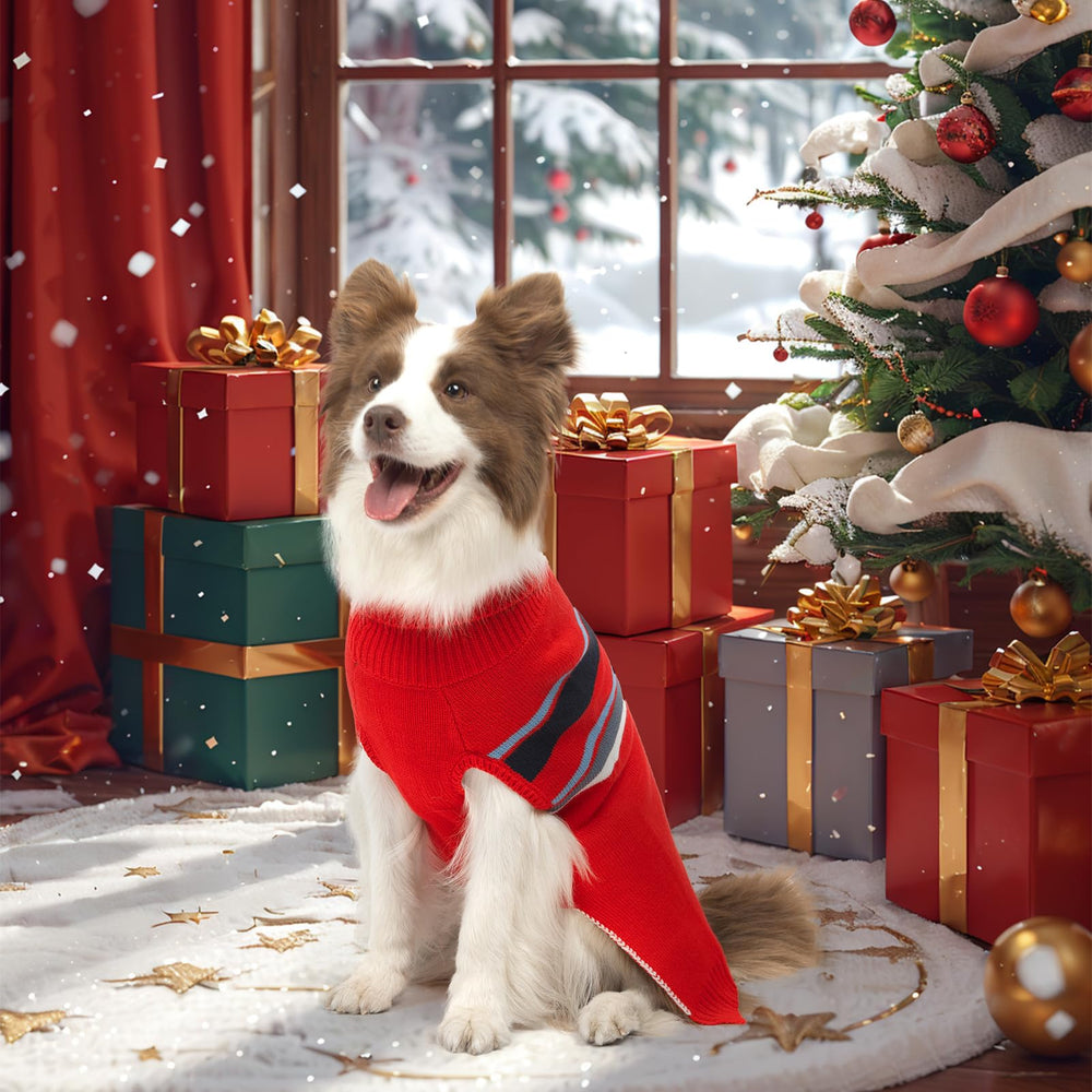 PAWCHIE dog sweater with leash-hole back design for easy outdoor outings.