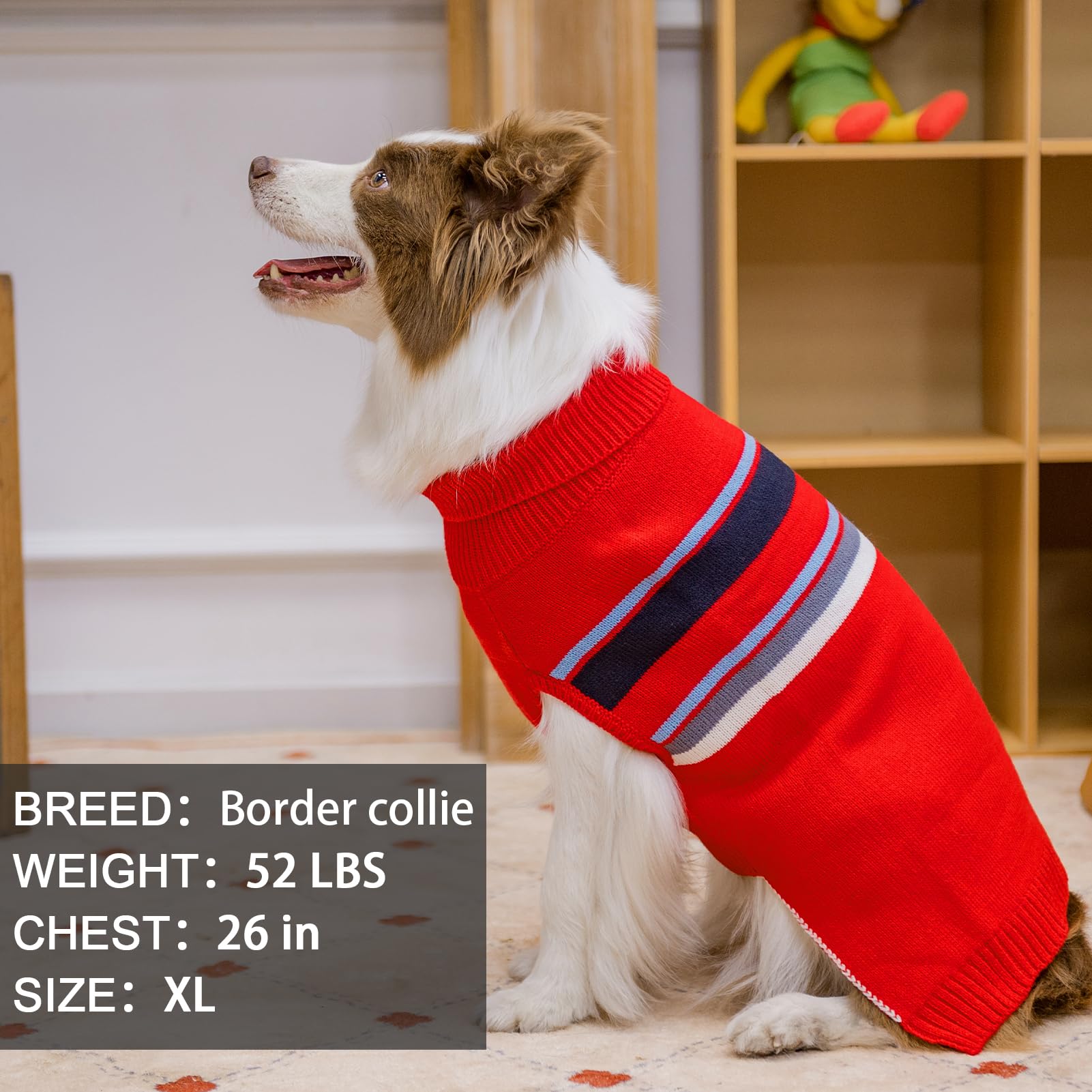 PAWCHIE dog sweater model-wearing demonstrates stylish fit.