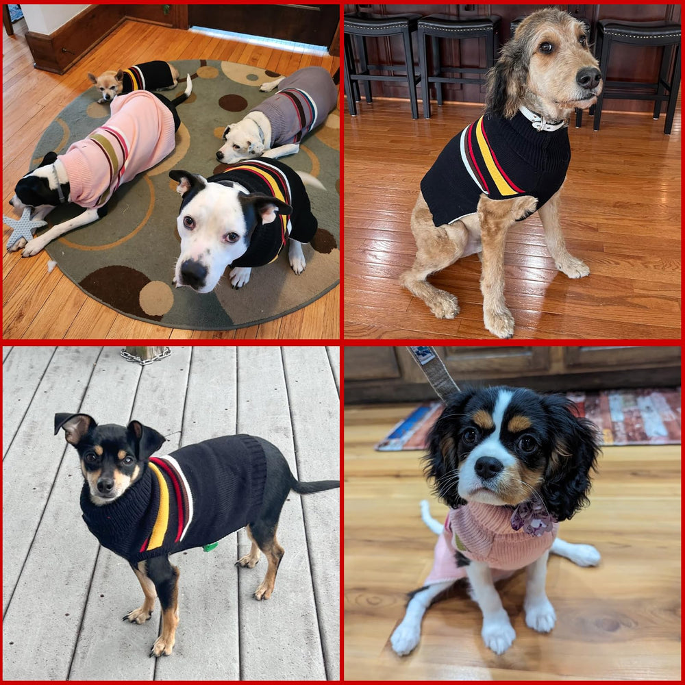 PAWCHIE dog sweater worn during winter walk in snowy neighborhood.