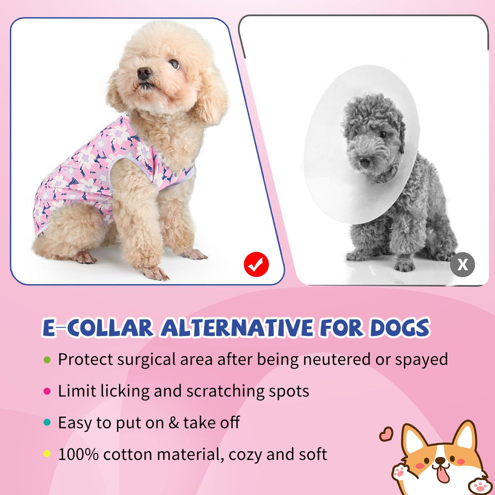 Pawcomon dog surgery recovery suit anti-licking feature, discouraging licking during recovery.