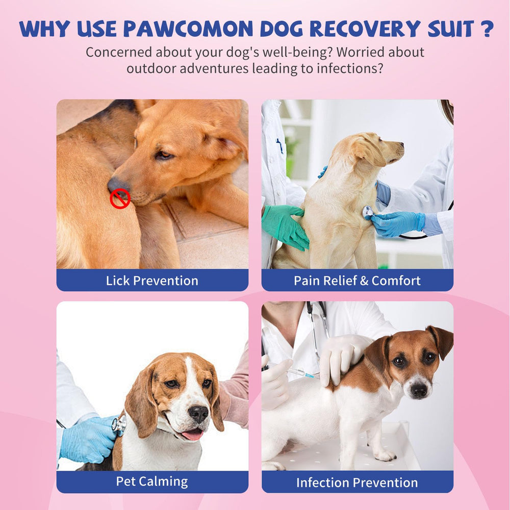 Pawcomon dog surgery recovery suit breathable fabric, comfortable all-day wear.