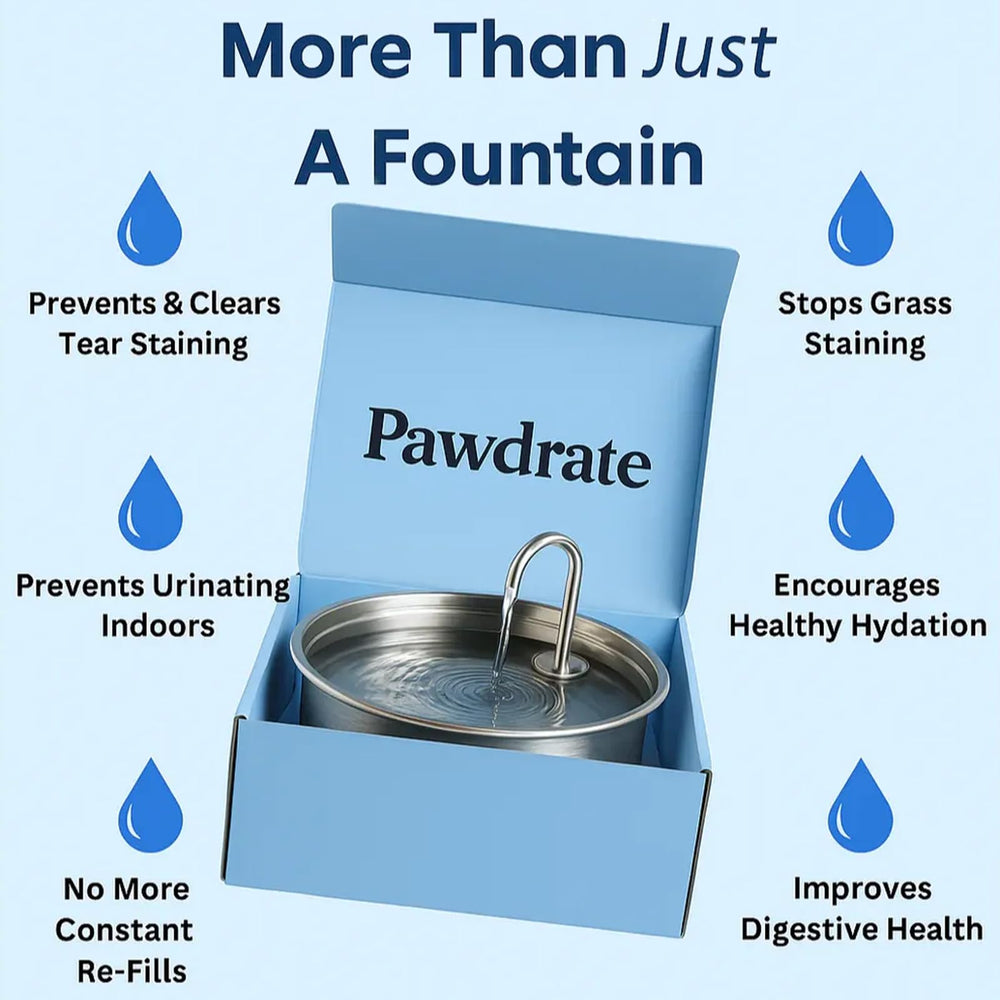 Pawdrate stainless steel 304 design provides rust resistance for long-lasting hydration.
