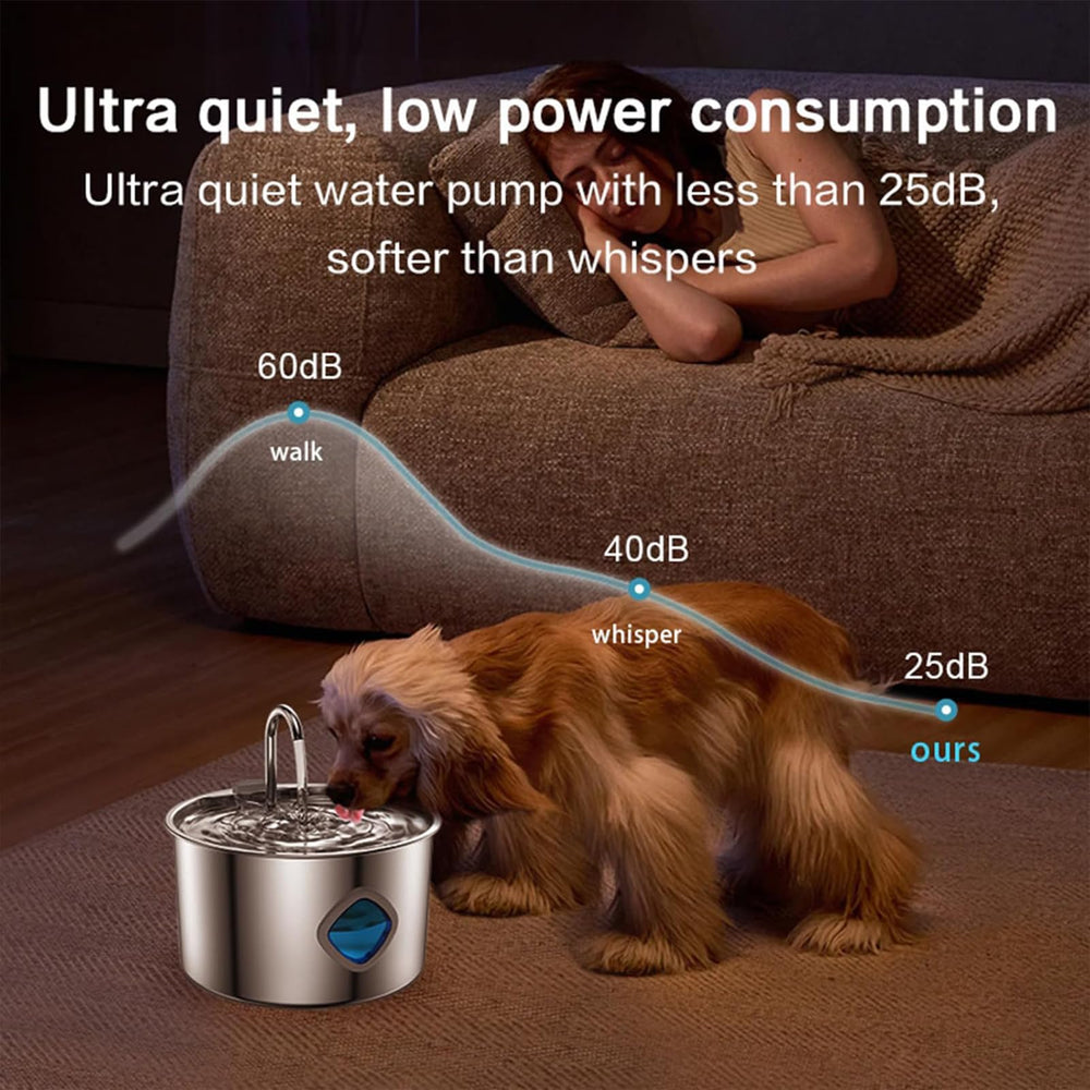 Pawdrate no-spill design reduces mess while keeping water accessible.