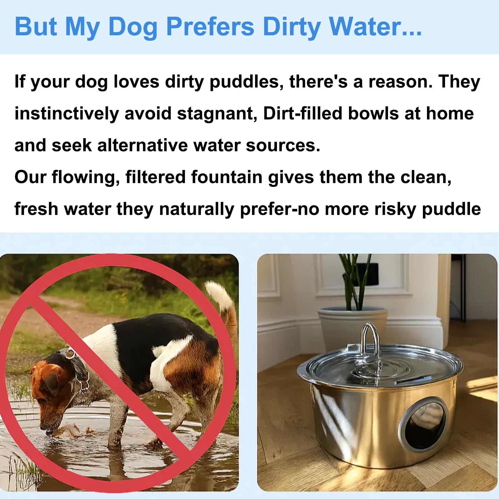 Pawdrate motion-activated mode releases water as your dog approaches.