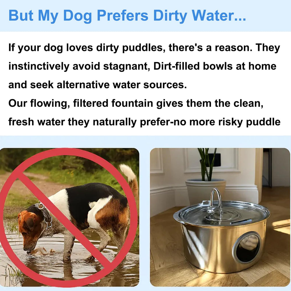 Pawdrate motion-activated mode releases water as your dog approaches.