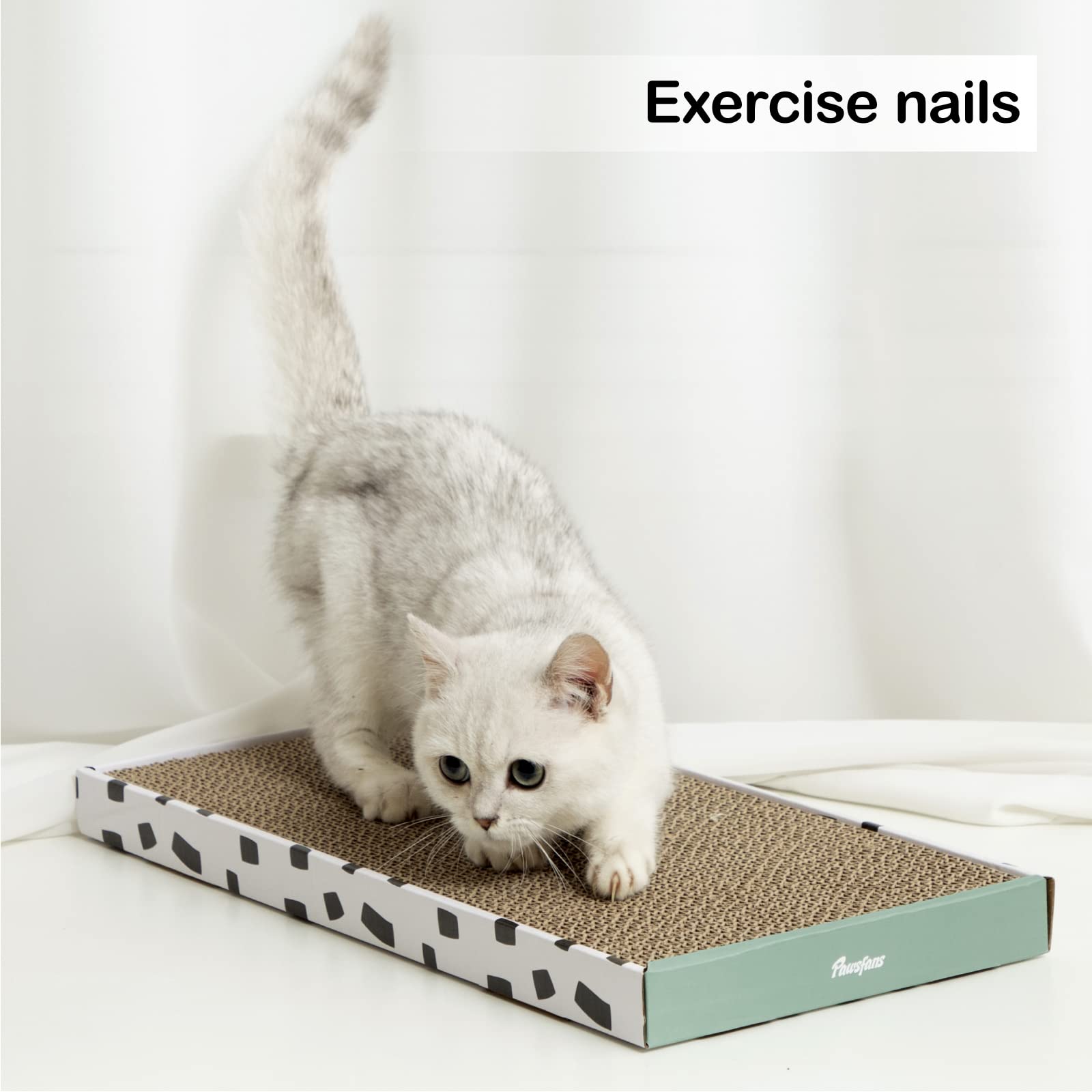 PAWSFANS indoor-friendly scratcher; reduces sofa and carpet wear with dedicated scratching area.