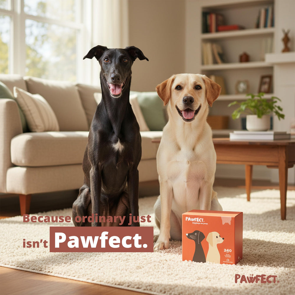 Pawfect BPI-certified bags with certification seal for confident purchase.