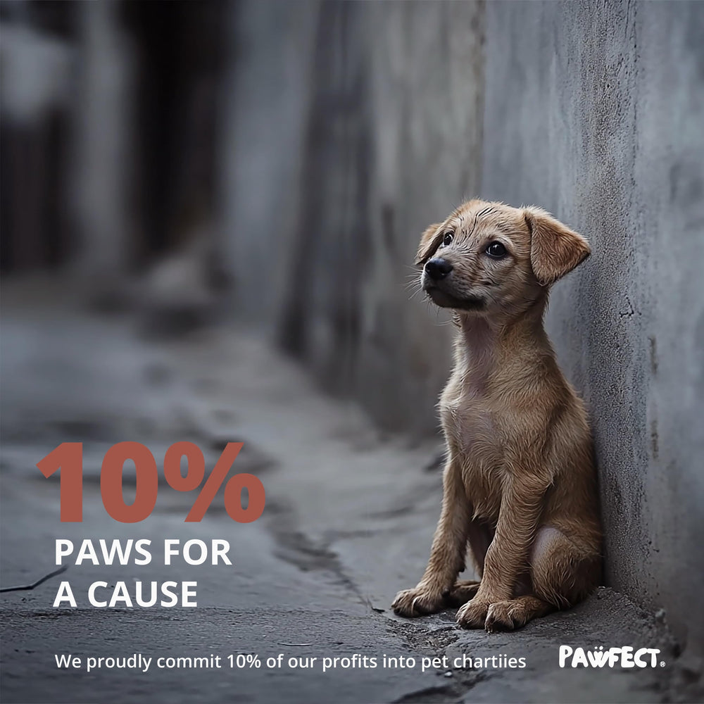 Pawfect donation symbol with pet causes to highlight giving back.