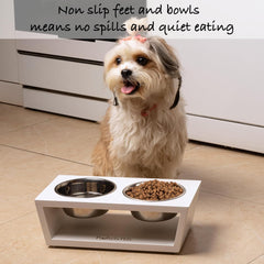 Pawfect Pets dog-cat dining stand setup demonstrating versatility for multi-pet households