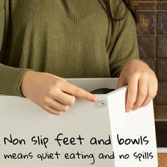 Pawfect Pets elevated dog bowl stand silicone pads, leak-proof stability during meals.